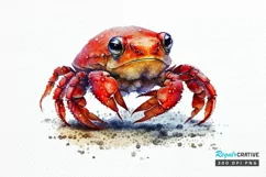 Watercolor Cute Baby Red Crab png clipart Product Image 1
