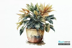 Watercolor Potted Plant png clipart Product Image 1