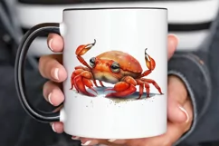 Watercolor Cute Baby Red Crab png clipart Product Image 2