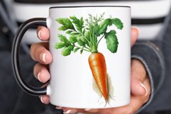 Watercolor Carrot png clipart Product Image 2