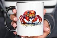 Watercolor Cute Baby Red Crab png clipart Product Image 2