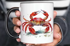 Watercolor Cute Baby Red Crab png clipart Product Image 2