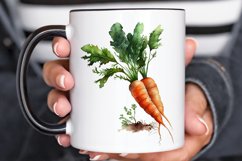 Watercolor Carrot png clipart Product Image 2