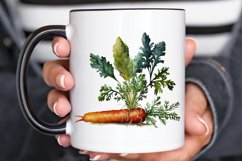 Watercolor Carrot png clipart Product Image 2