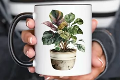 Watercolor Potted Plant png clipart Product Image 2