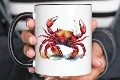 Watercolor Cute Baby Red Crab png clipart Product Image 2