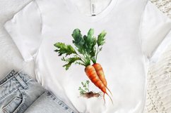 Watercolor Carrot png clipart Product Image 3