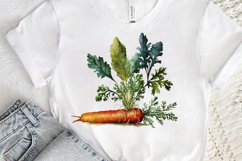 Watercolor Carrot png clipart Product Image 3