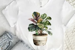 Watercolor Potted Plant png clipart Product Image 3