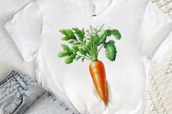 Watercolor Carrot png clipart Product Image 3