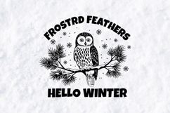 Frosted Feathers Owl SVG - Hello Winter Forest Illustration Product Image 2