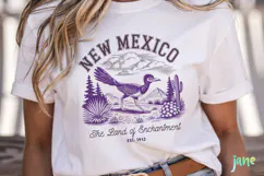 New York - New Jersey - New Hampshire - New Mexico SVG Product Image 2