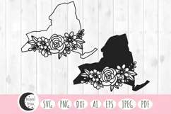 new york state svg