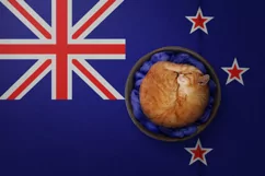 Backgrounds for Photography & Marketing. New Zealand Product Image 8