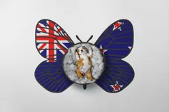 Backgrounds for Photography & Marketing. New Zealand Product Image 3