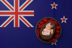 Backgrounds for Photography & Marketing. New Zealand Product Image 5