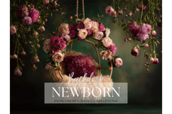 Newborn Backdrop Baby Digital Background Kids Room Studio_25 Product Image 1
