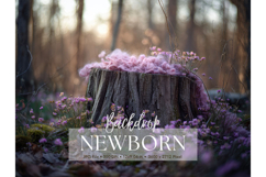 Newborn Backdrop Baby Digital Background Kids Room Studio_33 Product Image 1