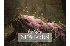 Newborn Backdrop Baby Digital Background Kids Room Studio_34 Product Image 1