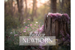 Newborn Backdrop Baby Digital Background Kids Room Studio_36 Product Image 1