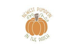 Newest Pumpkin In The Patch Product Image 1