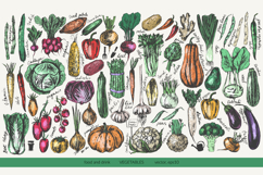 Garden vegetables sketches Product Image 1
