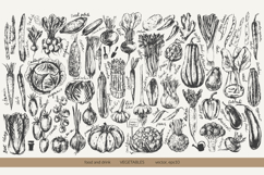 Garden vegetables sketches Product Image 3