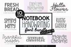MEGA NOTEBOOK HANDWRITING FONT BUNDLE by Blush Font Co. Product Image 3