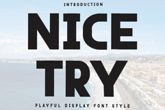 Nice Try Product Image 1
