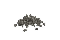 nigella sativa cumin black cartoon vector illustration Product Image 1