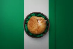 Backgrounds for Photography & Marketing. Nigeria Product Image 7