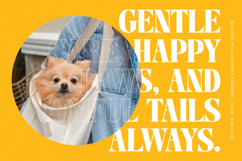 Night Roasty - Modern Serif Font Product Image 3