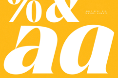 Night Roasty - Modern Serif Font Product Image 6