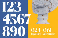 Night Roasty - Modern Serif Font Product Image 10