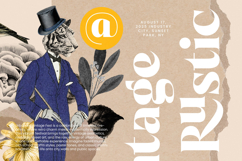 Night Roasty - Modern Serif Font Product Image 17