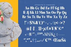 Night Roasty - Modern Serif Font Product Image 18