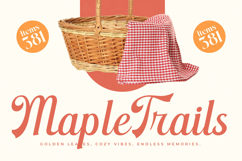 Nightalls Delight - Modern Bold Script Font Product Image 4