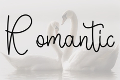 Nightday Product Image 4