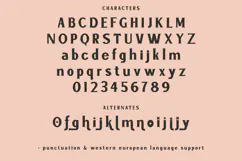 Nightmarish Serif Font Product Image 10