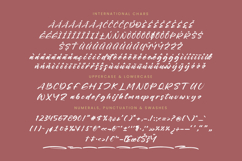 Nighty Styling - Modern Brush Font Product Image 18