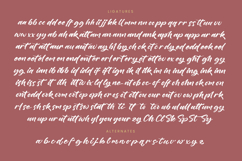 Nighty Styling - Modern Brush Font Product Image 19