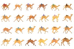 Camel racing icons set cartoon vector. Race activity Product Image 1