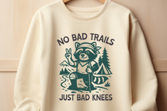 Funny Hiking Raccoon SVG PNG No Bad Trails Just Bad Knees Product Image 3