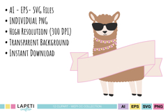 No drama llama birthday graphics with cute alpacas, mountains and cactus illustrations.