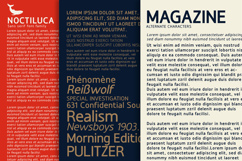 Noctiluca - Sans Serif Font Family Product Image 15