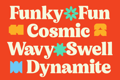 Noira Bilamo - Groovy Serif Display Product Image 4