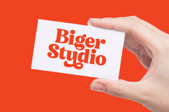 Noira Bilamo - Groovy Serif Display Product Image 6
