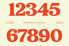 Noira Bilamo - Groovy Serif Display Product Image 9