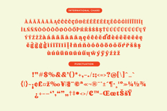 Noira Bilamo - Groovy Serif Display Product Image 13