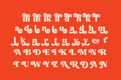 Noira Bilamo - Groovy Serif Display Product Image 14